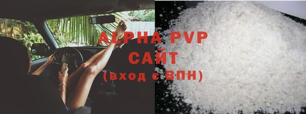 PSILOCYBIN Беломорск