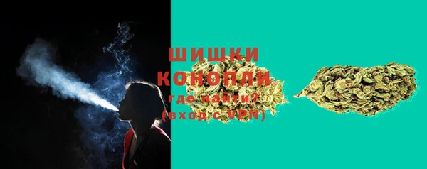 PSILOCYBIN Беломорск