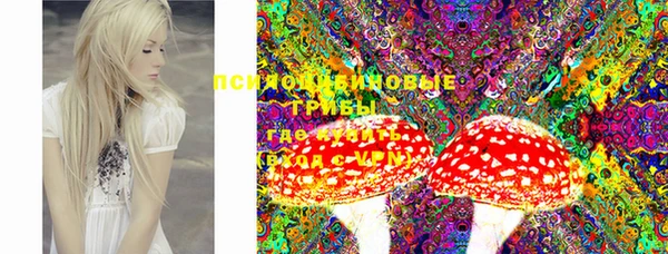 PSILOCYBIN Беломорск