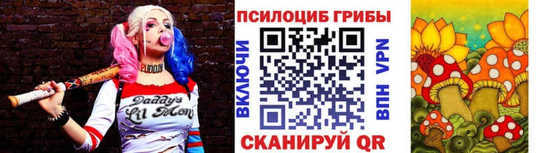 Псилоцибиновые грибы MAGIC MUSHROOMS  MEGA ТОР  Жиздра 