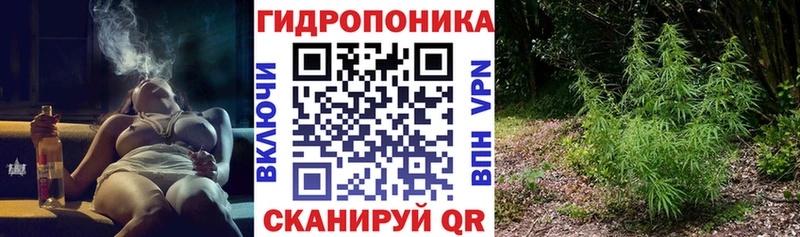 Бошки марихуана THC 21%  Жиздра 